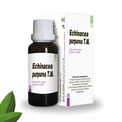 ECHINACEA PURPUREA T.M.