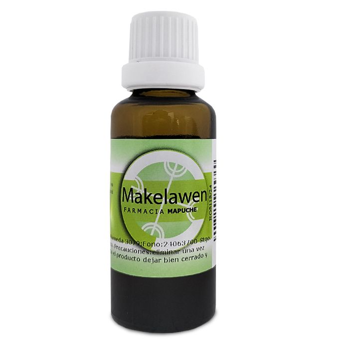 zimmerpflanze hängend kleine runde blätter Peperomia rotundifolia